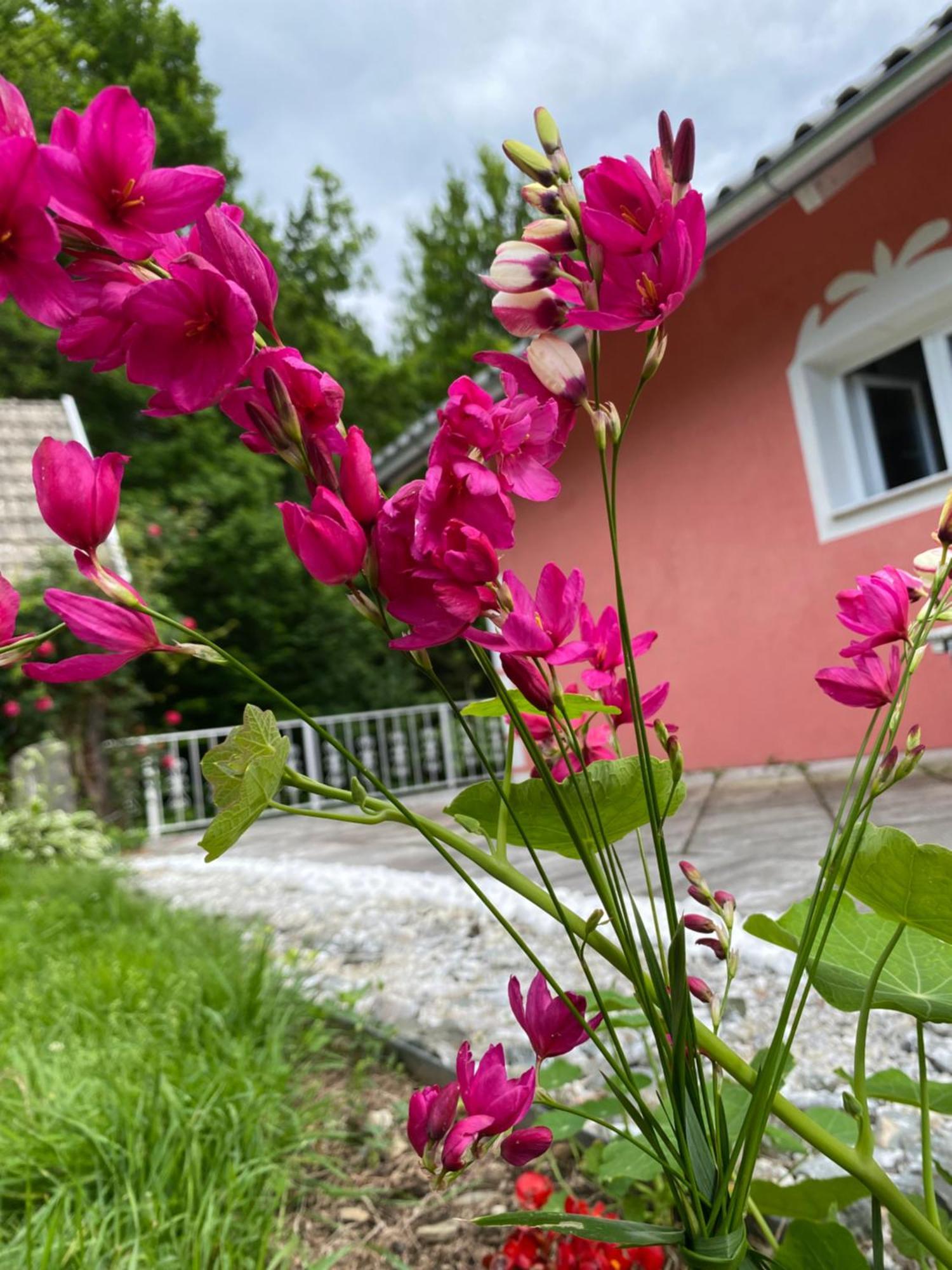 Apartamento Pension Hadanig Techelsberg Exterior foto